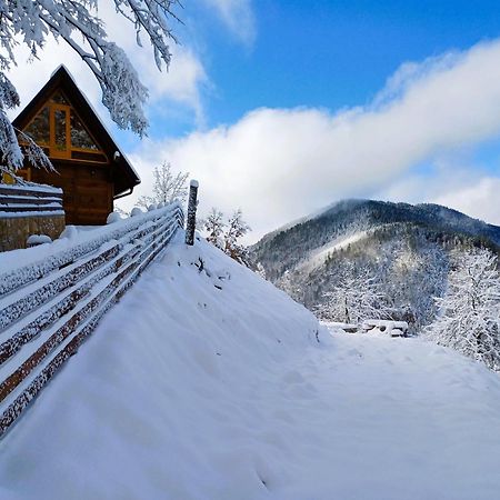 Drvene Kuce Suska - Wooden Houses Suska Zaovine ภายนอก รูปภาพ