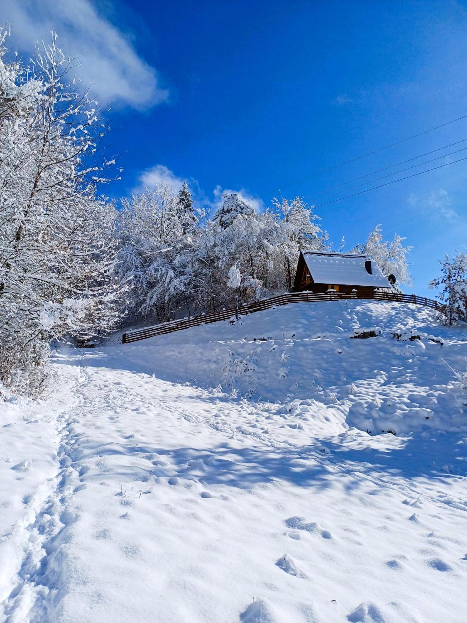 Drvene Kuce Suska - Wooden Houses Suska Zaovine ห้อง รูปภาพ
