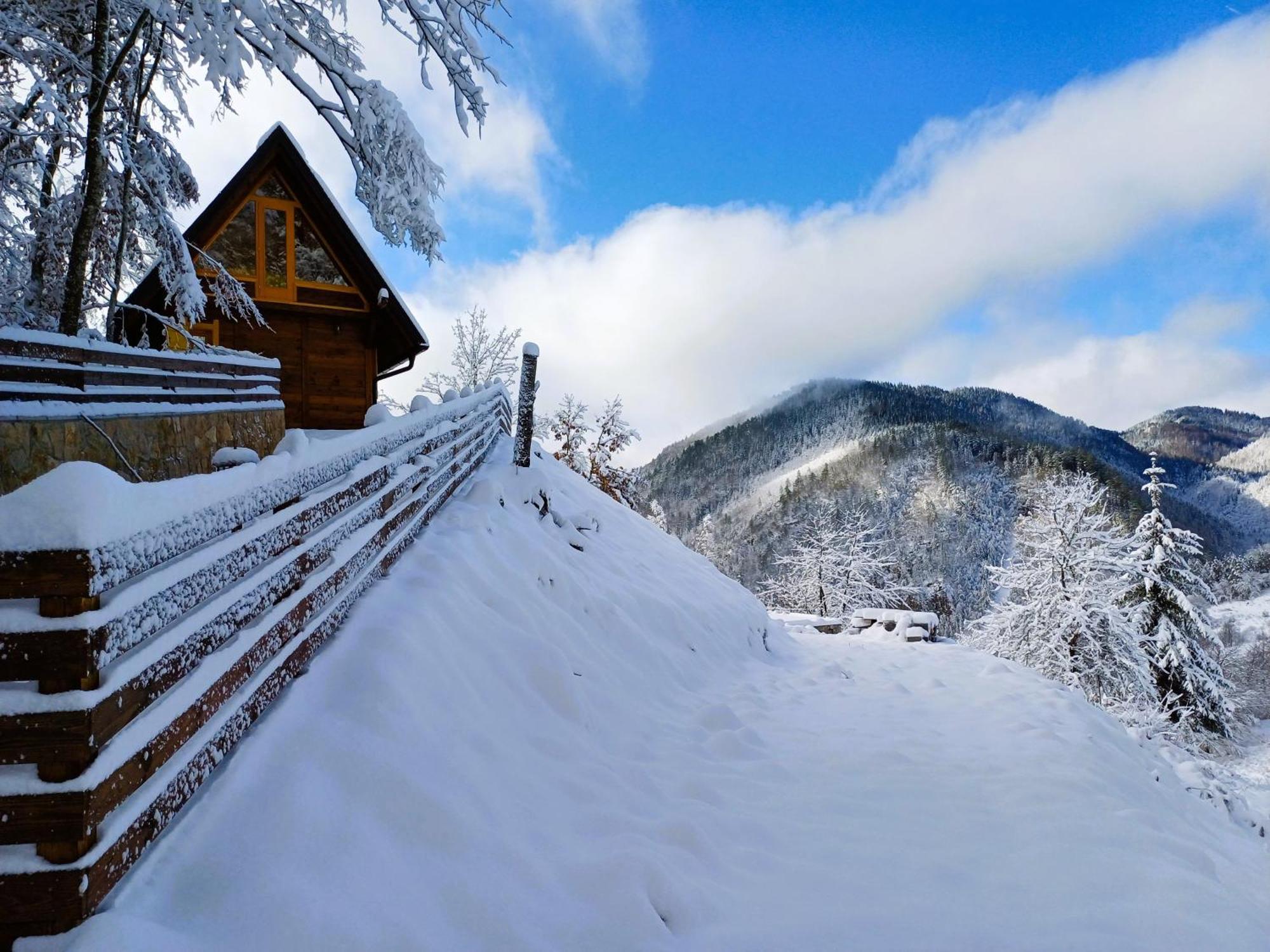 Drvene Kuce Suska - Wooden Houses Suska Zaovine ภายนอก รูปภาพ
