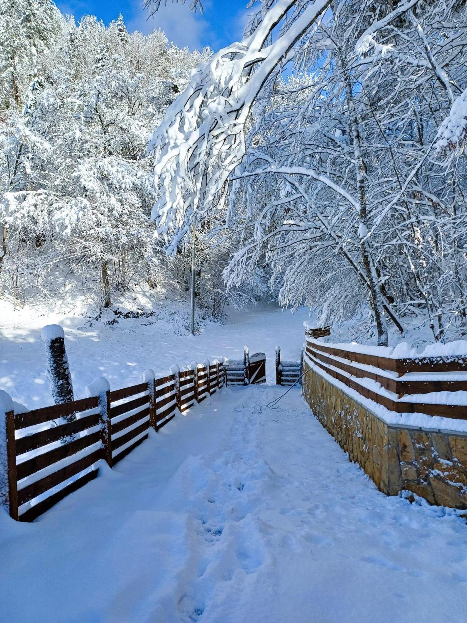 Drvene Kuce Suska - Wooden Houses Suska Zaovine ห้อง รูปภาพ