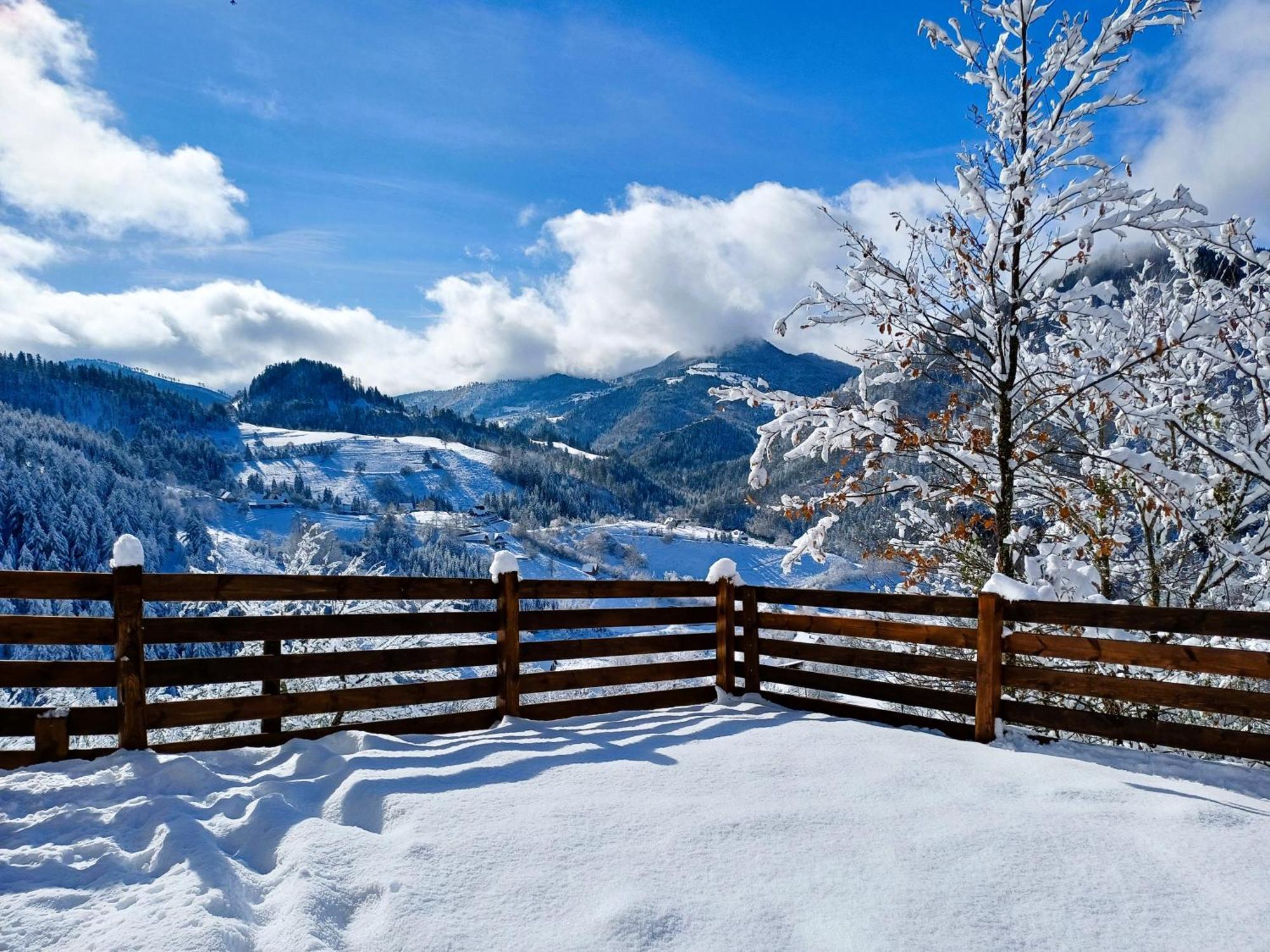 Drvene Kuce Suska - Wooden Houses Suska Zaovine ภายนอก รูปภาพ